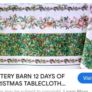 Pottery Barn Holiday Blanket with Red and Green Accents